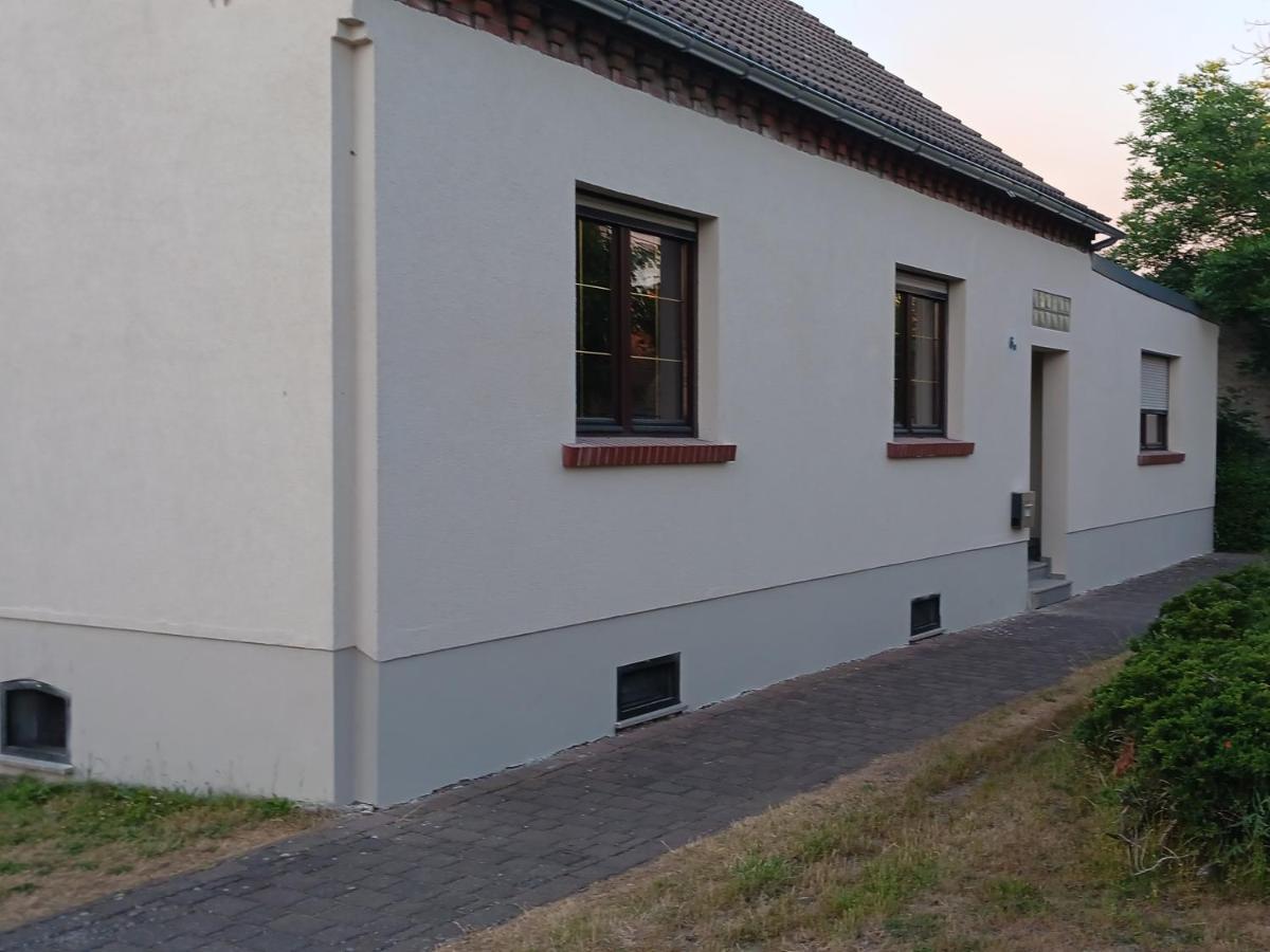Ferienhaus Undine Mit E-Auto-Ladestation Oranienbaum-Woerlitz Eksteriør billede
