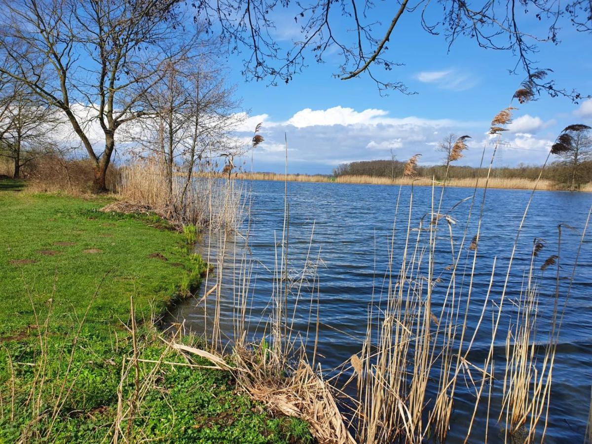 Ferienhaus Undine Mit E-Auto-Ladestation Oranienbaum-Woerlitz Eksteriør billede
