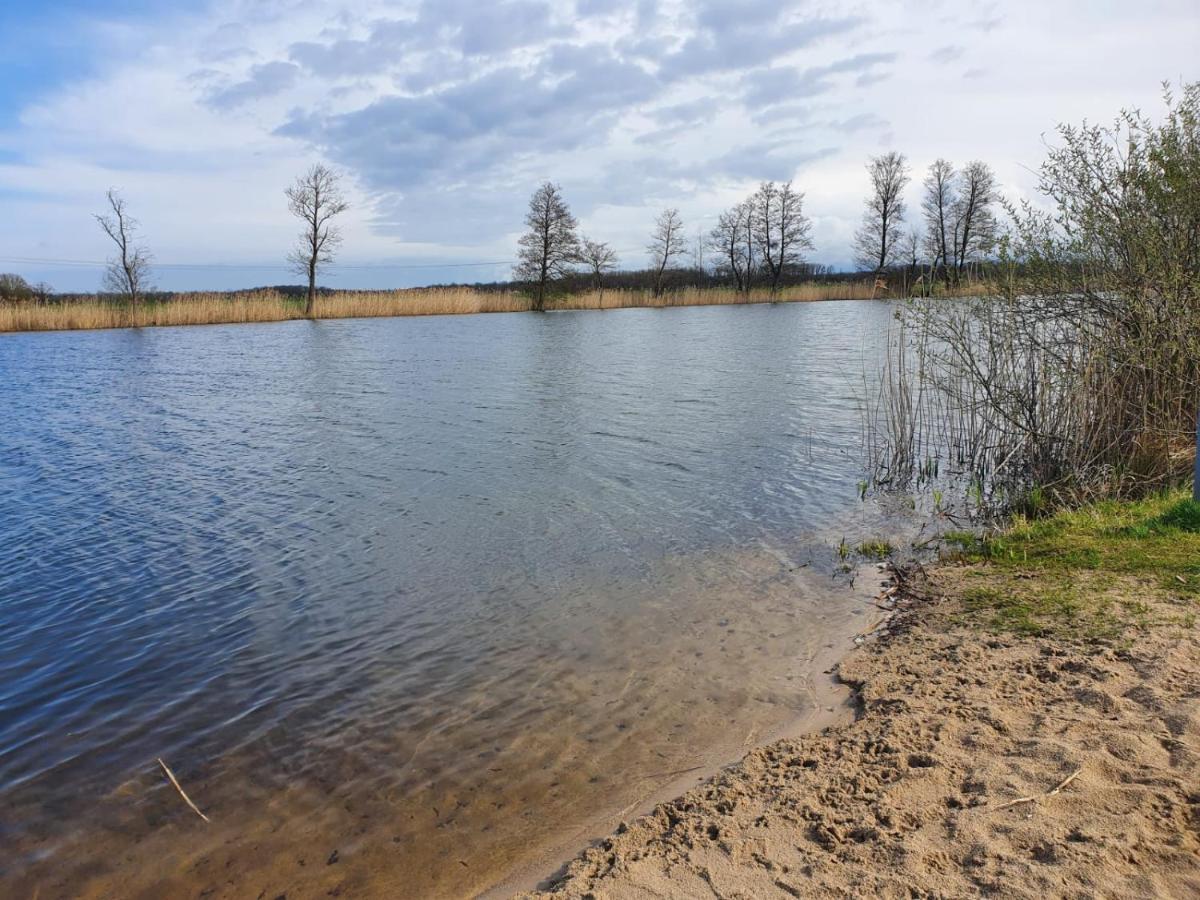 Ferienhaus Undine Mit E-Auto-Ladestation Oranienbaum-Woerlitz Eksteriør billede